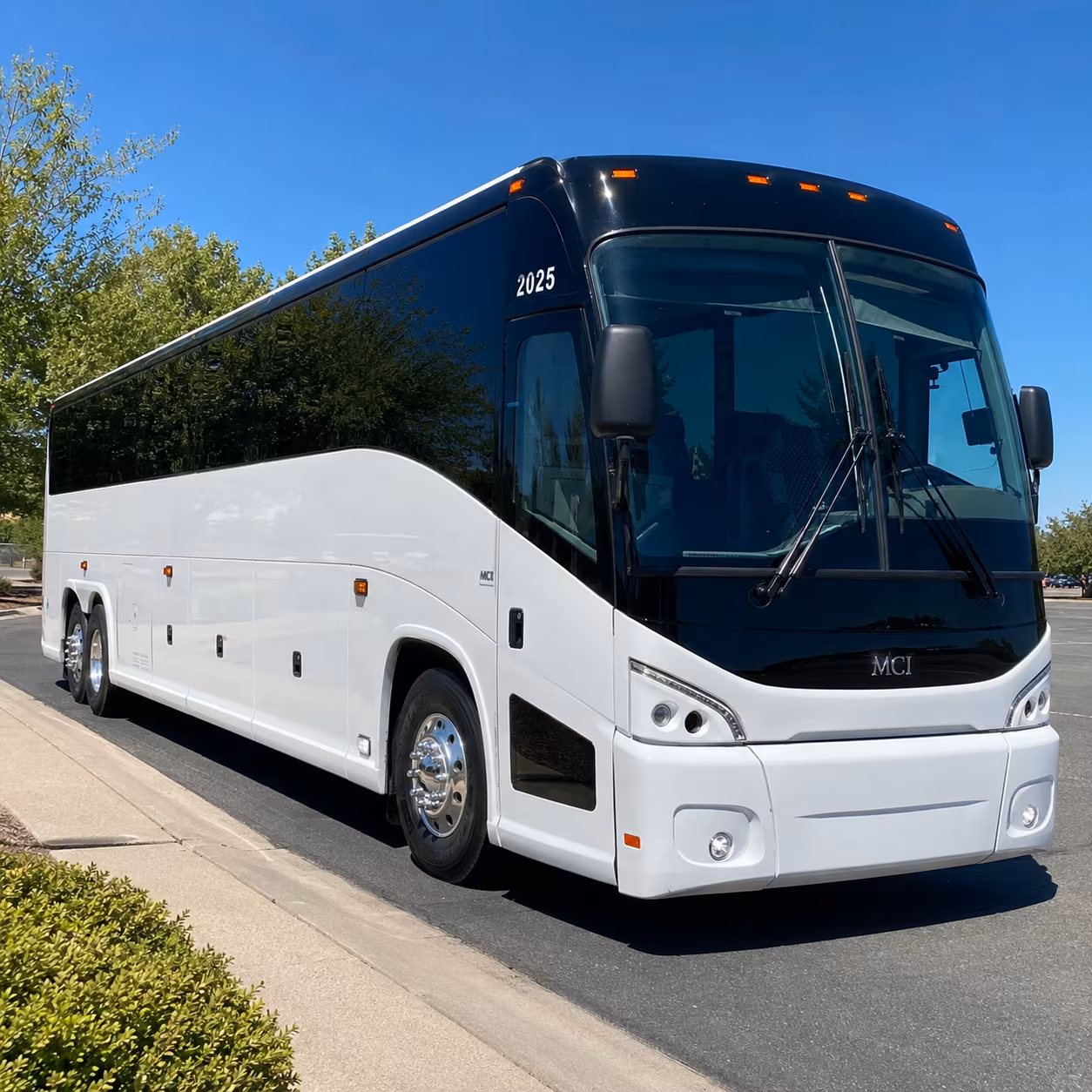contraband days and festival season are easier with a bus